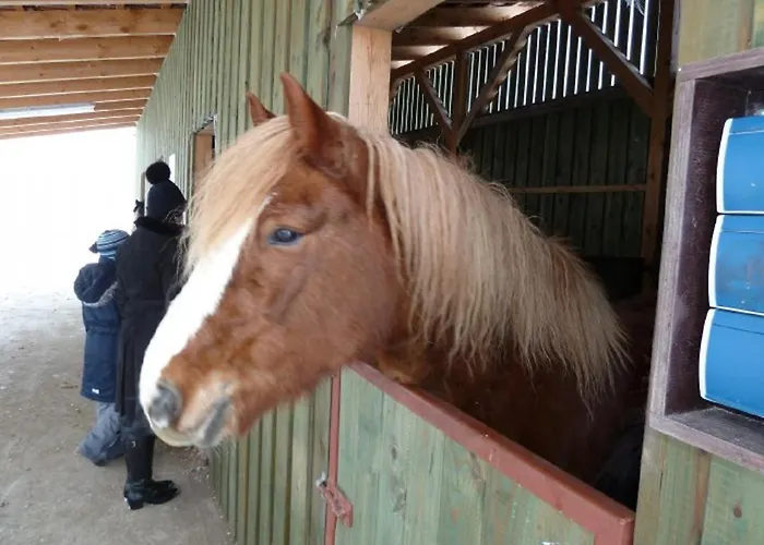 Heimberg - Bowe Gbr Sauensiek