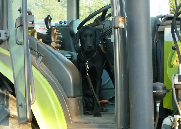 Apartamento Heimberg - Bowe Gbr Sauensiek