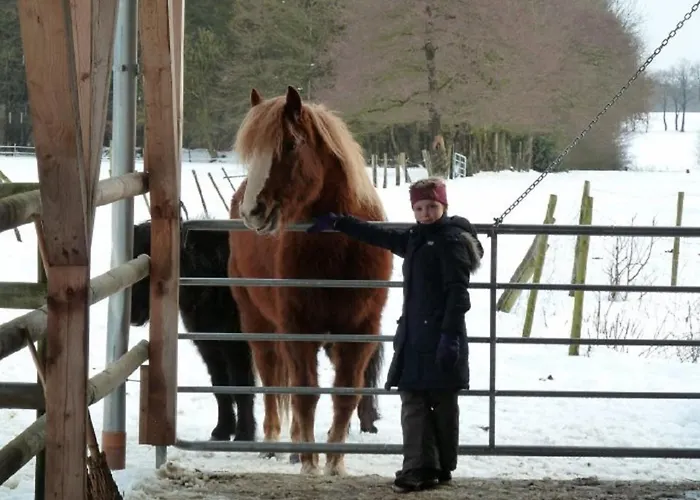 Heimberg - Bowe Gbr * Sauensiek